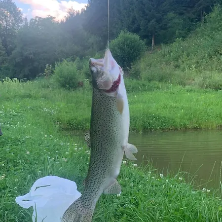 7+я Сasa de vacaciones Verkhovyna