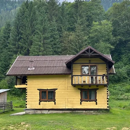 7+я * Verkhovyna
